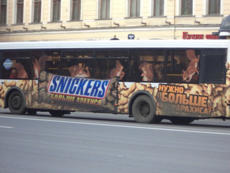 Mókusos busz